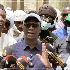 Linguère : 47 322 moutons déjà convoyés depuis le forail de Dahra, selon Mabouba Diagne