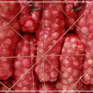 Sédhiou : l'oignon local surpasse l'oignon importé au marché central (responsable)
