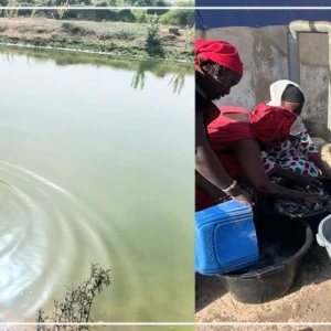 Kaffrine : une cinquantaine de femmes formées à la pisciculture