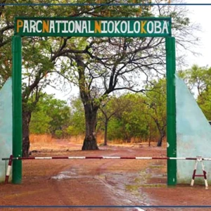 Un nouveau Plan d'aménagement et de gestion du Parc Niokolo-Koba validé