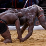 Tournoi de la CEDEAO:  les lutteurs sénégalais conservent leur titre