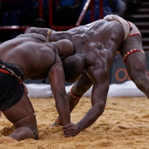 Tournoi de la CEDEAO:  les lutteurs sénégalais conservent leur titre