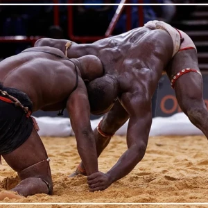 Tournoi de la CEDEAO:  les lutteurs sénégalais conservent leur titre