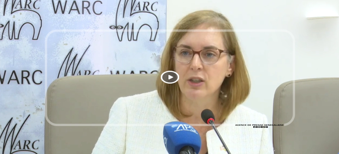 Sénégal-USA :le pari des connexions utiles pour booster l’insertion des diplômés