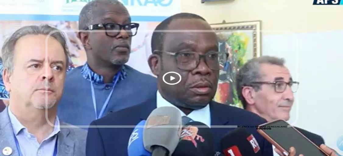 Lait local : le Sénégal et la CEDEAO mobilisent la recherche pour réduire les importations