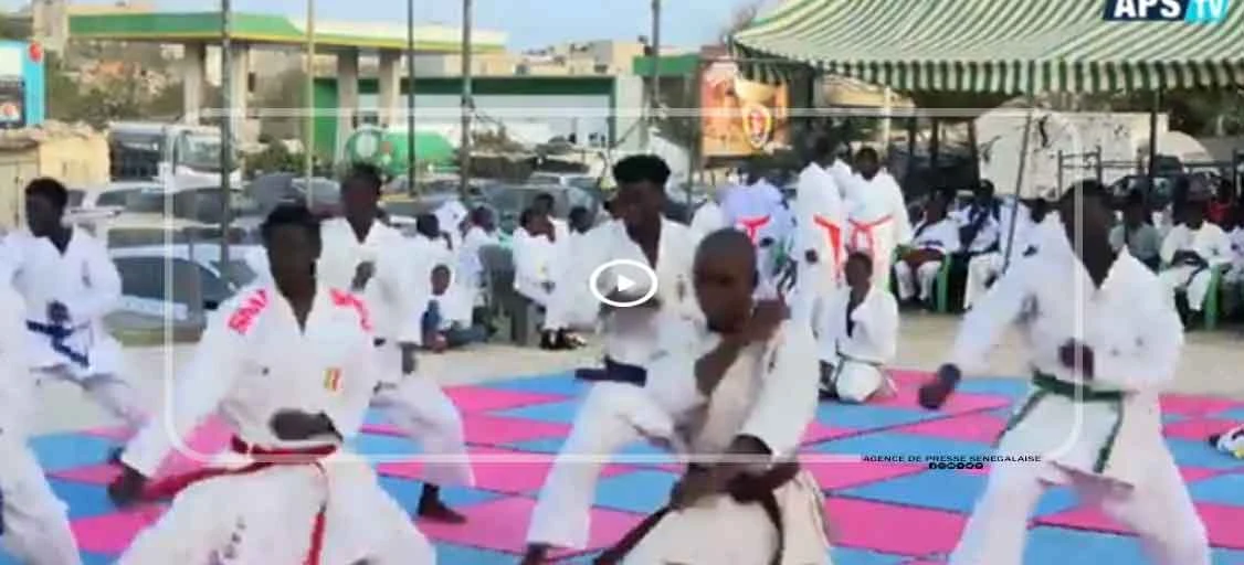 Mémoire des arts martiaux : Guédiawaye rend hommage à Sensei feu Doudou Lamine Ndiaye