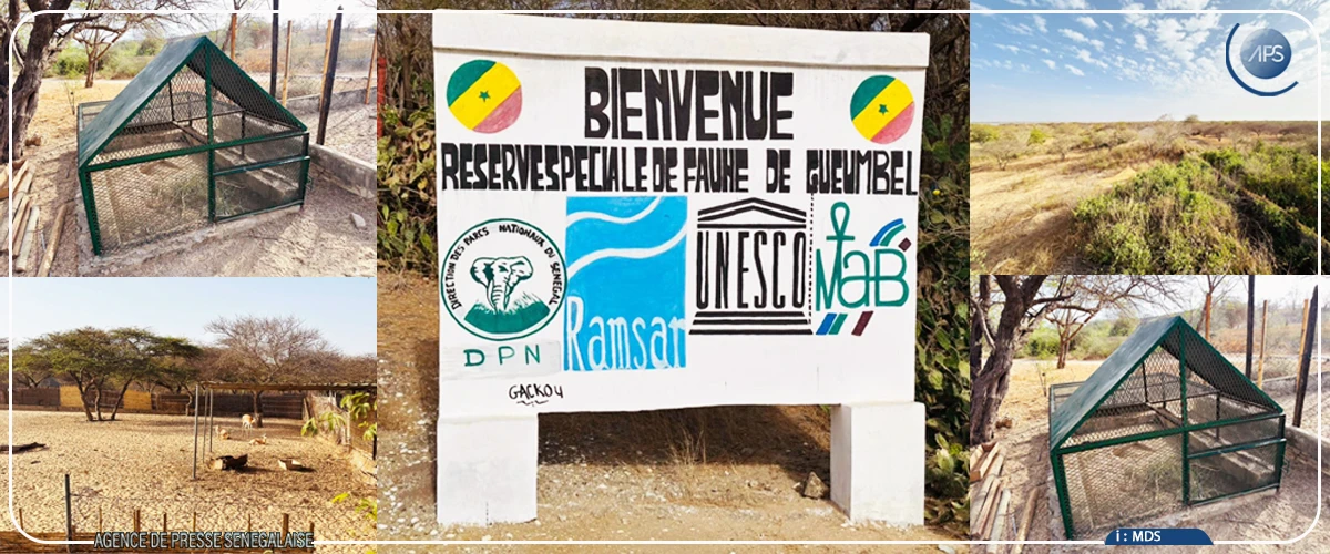 Réserve de Guembeul, un sanctuaire en quête de valorisation