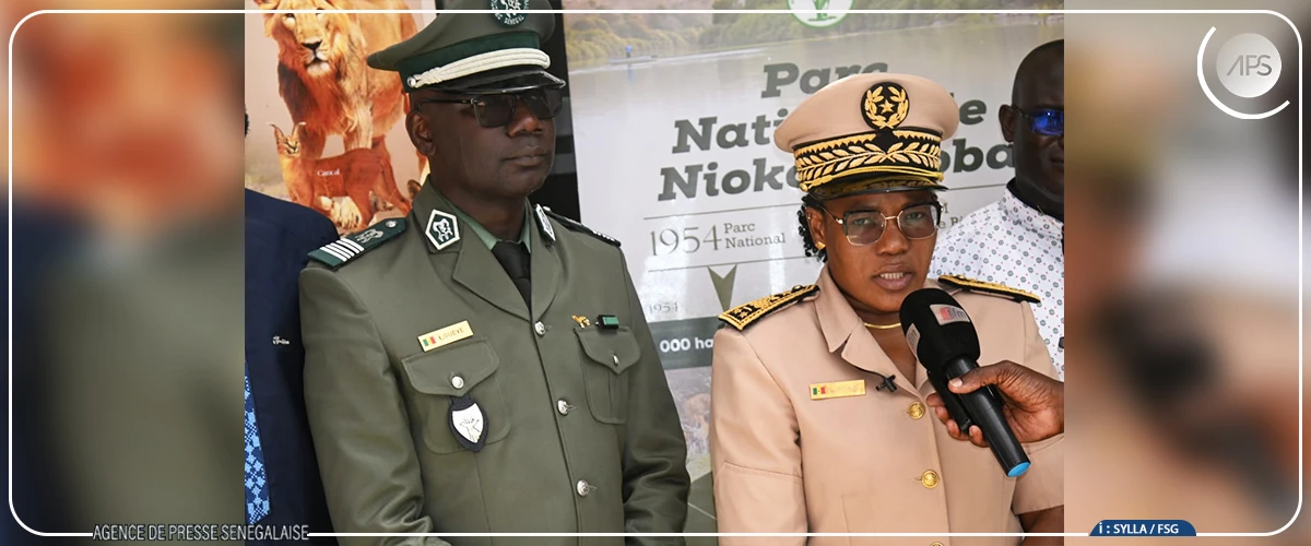 Un nouveau Plan d'aménagement et de gestion du Parc Niokolo-Koba validé