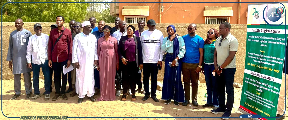 Fatick : des parlementaires de la CEDEAO visitent des installations solaires à Ndiop