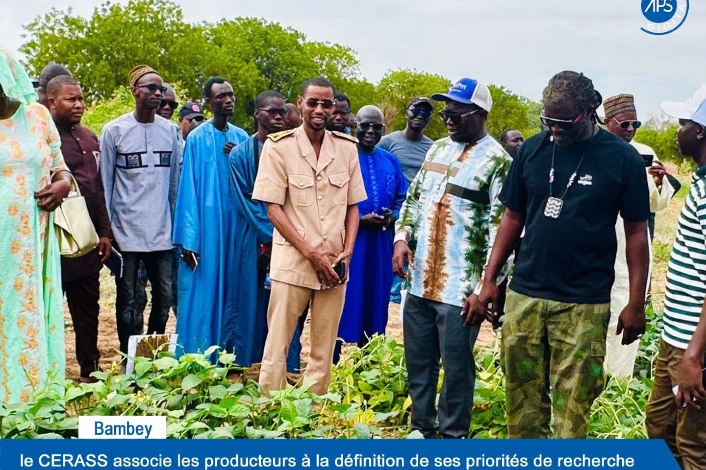 Bambey : le CERASS associe les producteurs à la définition de ses priorités de recherche 