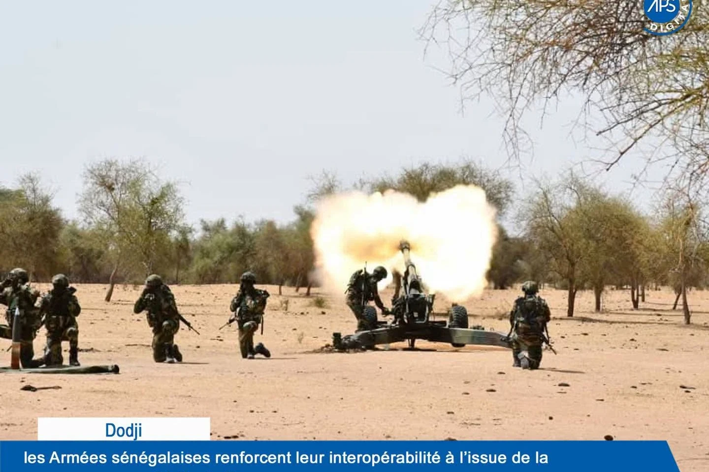 Dodji : les Armées sénégalaises renforcent leur interopérabilité à l’issue de la campagne semestrielle de tirs  