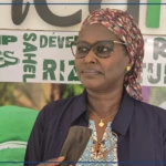 Saint-Louis : Africarice travaille à l'inclusion des femmes dans la production rizicole (représentant-résident)