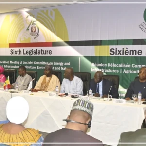 Le Sénégal vise l'accès universel à l’électricité d’ici 2029 (officiel)
