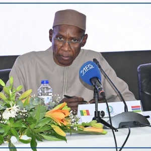 Dakar et Banjul déterminés à faire de l'espace sénégambien "un exemple de prospérité et d'intégration"