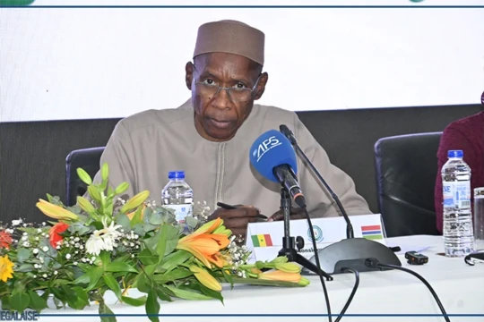 Dakar et Banjul déterminés à faire de l'espace sénégambien "un exemple de prospérité et d'intégration"