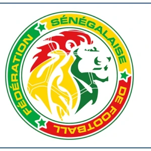 ‎Equipe nationale : le contrôle de sécurité des Lions en terre américaine relevait d'une procédure normale (FSF)