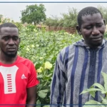 A Kaffrine, un maître coranique ambitionne de produire 50 tonnes de gombo par an