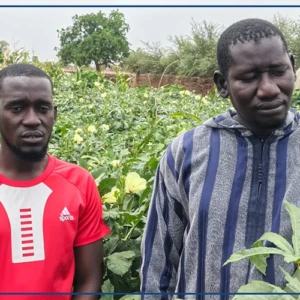 A Kaffrine, un maître coranique ambitionne de produire 50 tonnes de gombo par an