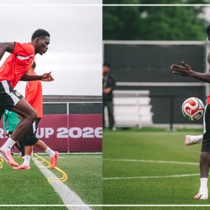 Les Lions entament la préparation des seizièmes de finale du Mondial‎