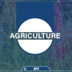 Productions agricoles : le projet Racine lancé à Ronkh pour renforcer le transformation et la commercialisation