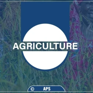 Productions agricoles : le projet Racine lancé à Ronkh pour renforcer le transformation et la commercialisation