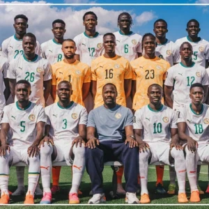 Les Lions ont perdu leur quatre derniers matchs face à des équipes européennes en Coupe du monde  ‎