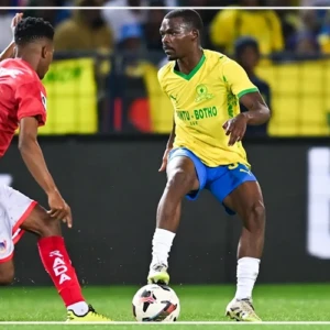 Mondial 2006 : le championnat sud-africain est l'élite africaine la plus représentée avec 19 joueurs