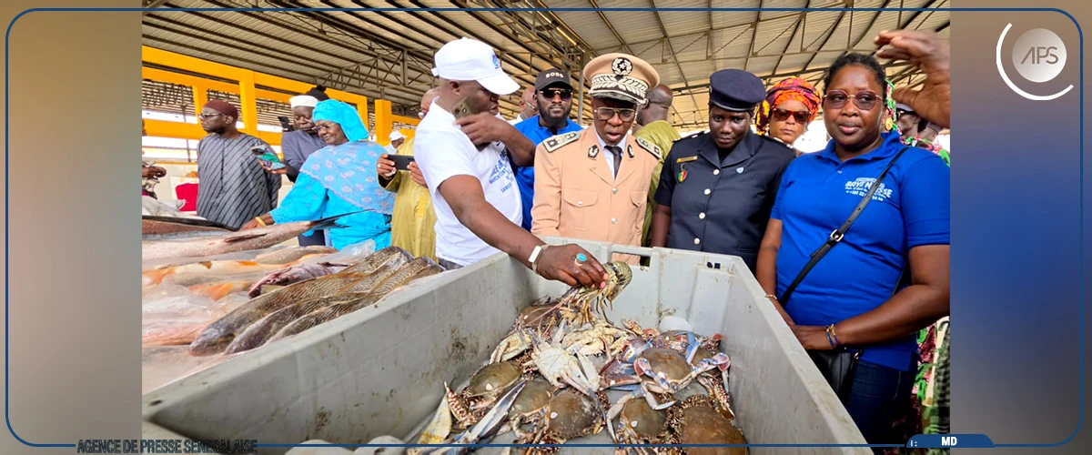 Plaidoyer pour une meilleure fréquentation du Marché central aux poissonx de Thiès