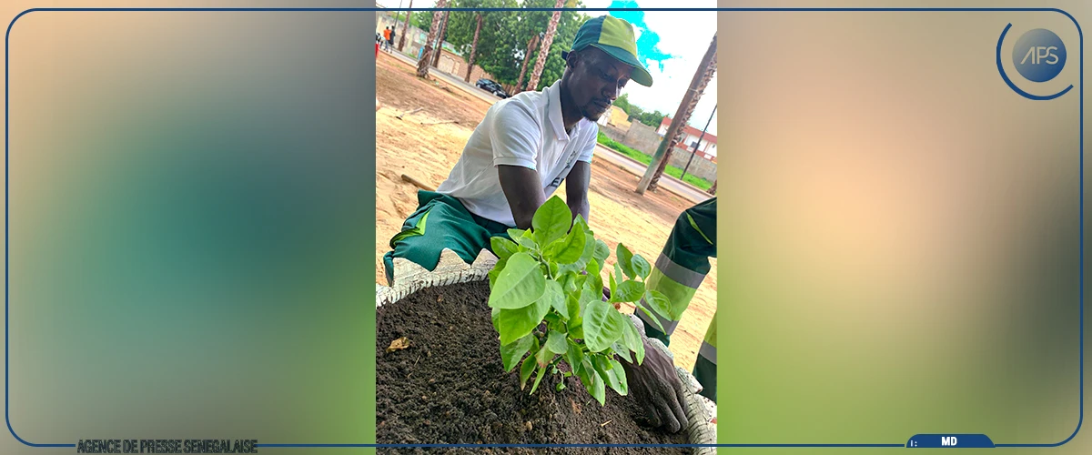 Papa Amady Diouf, un environnementaliste dans l’âme
