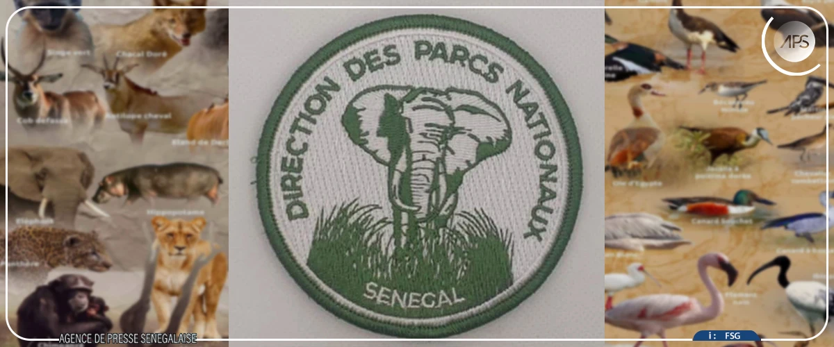 La direction des Parcs nationaux appelle la Fédération sénégalaise de lutte à bannir tout acte portant atteinte au bien-être des animaux