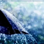 Hivernage 2026 : la région de Kaolack enregistre ses premières pluies