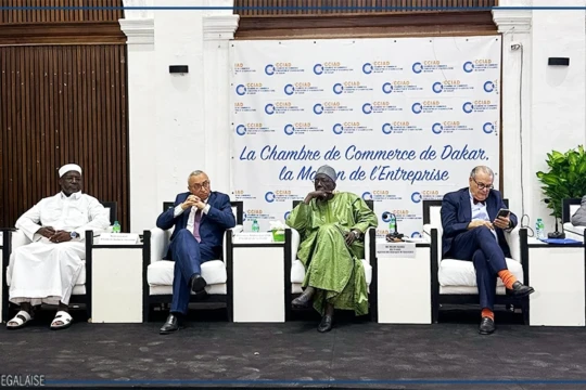 Les entreprises sénégalaises et tunisiennes appelées à renforcer leur partenariat dans le cadre de la ZLECAF
