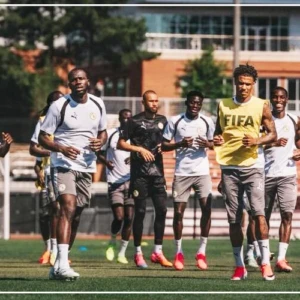 Les Lions rejoignent leur camp de base à New Jersey, cet après-midi