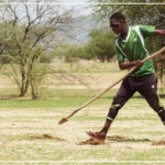 Diourbel, les premiers semis en attendant les intrants agricoles