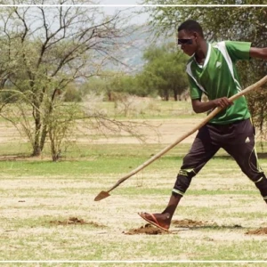 Diourbel, les premiers semis en attendant les intrants agricoles