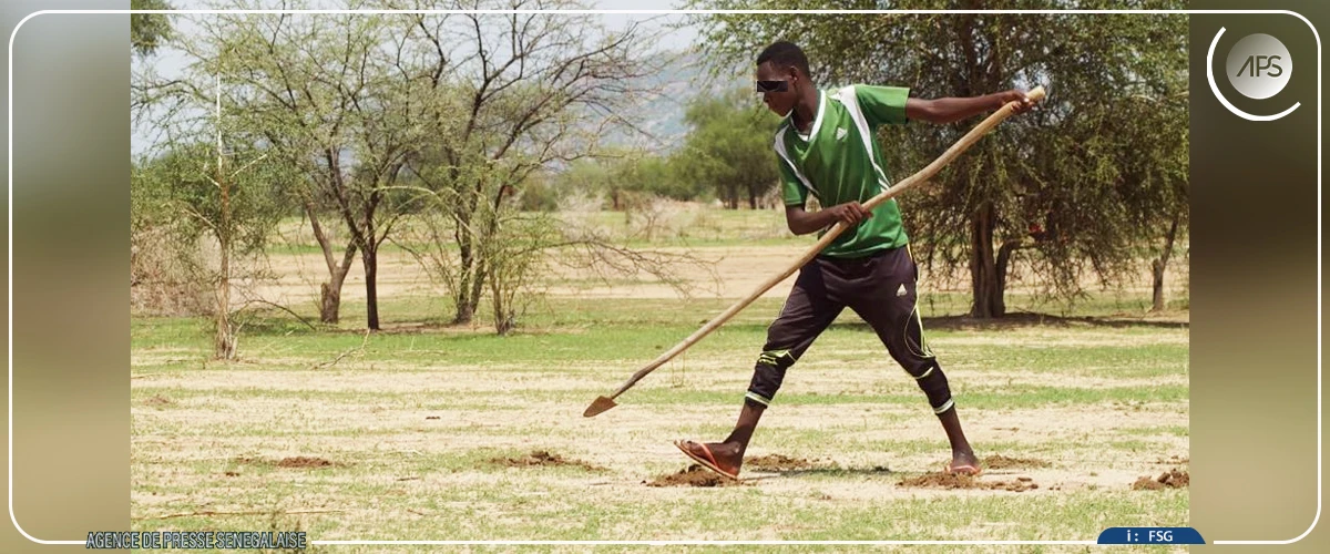 Diourbel, les premiers semis en attendant les intrants agricoles