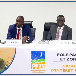 Un chercheur appelle à tirer profit du ''patrimoine exceptionnel'' du Sahel