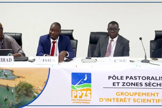 Un chercheur appelle à tirer profit du ''patrimoine exceptionnel'' du Sahel