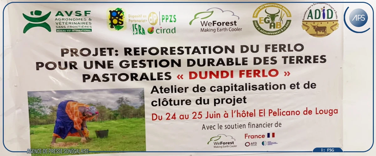 Louga : plaidoyer en faveur d'une deuxième phase du projet de reforestation "Dundu Ferlo"