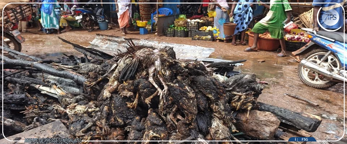 Kédougou : un incendie ravage une dizaine de cantines au marché central