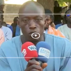 Mbacké : les maraîchers de Ndock redoutent de nouvelles inondations et interpellent les autorités ..