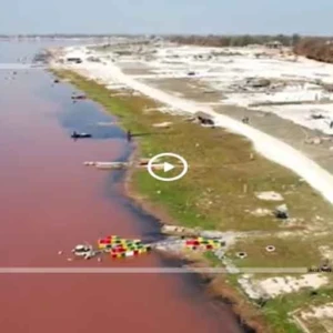 Ville Verte du Lac Rose : promesse de développement ou menace pour un site emblématique ?