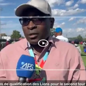 Les chances de qualification des Lions pour le second tour sont intactes ( journalistes)