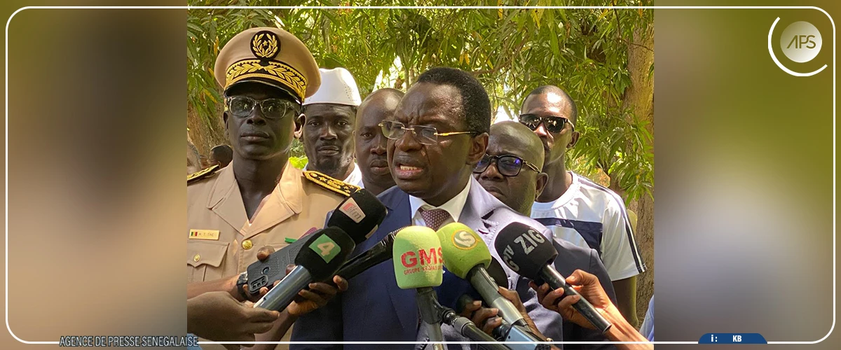 Casamance : l’État va investir 90 milliards pour les agropoles et l’anacarde (ministre)