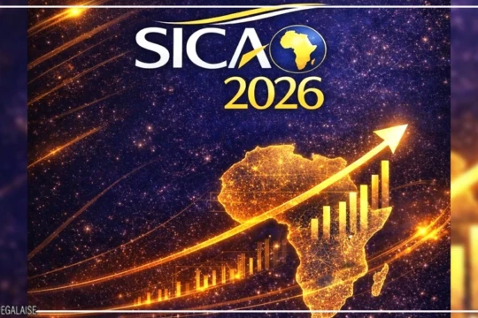 Plaidoyer pour une structuration du conseil et une plus grande présence africaine sur le marché mondial