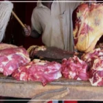 A Bambey Sérère, le commerce de la viande le jour de l'Achoura, un véritable rendez-vous économique
