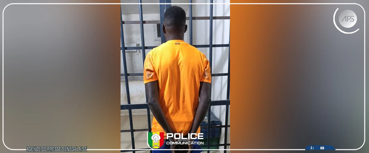 Nioro du Rip : un individu interpellé pour viol suivi de grossesse sur une femme mariée
