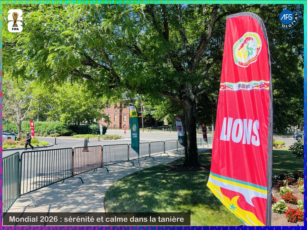 Mondial 2026 : sérénité et calme dans la tanière 