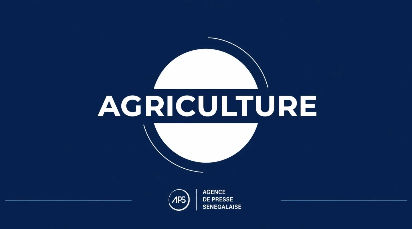 Campagne agricole : un budget de 130 milliards de francs CFA, dont 69 milliards pour l’achat d’engrais