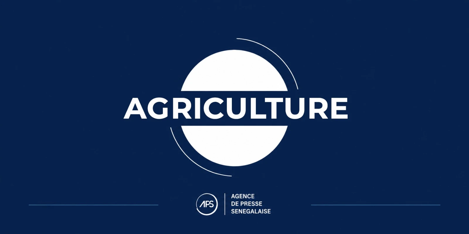 Campagne agricole : un budget de 130 milliards de francs CFA, dont 69 milliards pour l’achat d’engrais